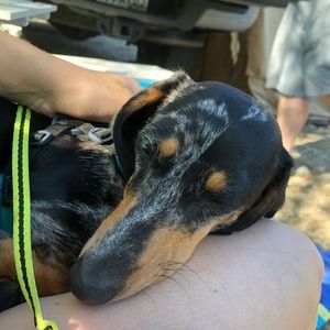 Meet your Posher, Madison